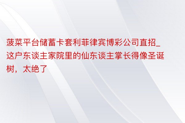 菠菜平台储蓄卡套利菲律宾博彩公司直招_这户东谈主家院里的仙东谈主掌长得像圣诞树，太绝了