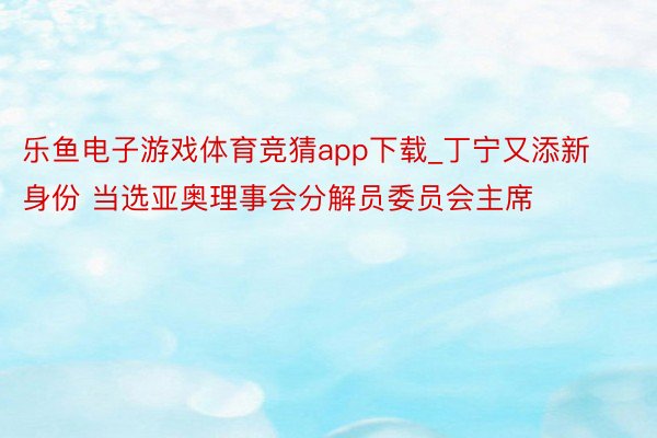 乐鱼电子游戏体育竞猜app下载_丁宁又添新身份 当选亚奥理事会分解员委员会主席