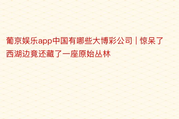 葡京娱乐app中国有哪些大博彩公司 | 惊呆了‼️西湖边竟还藏了一座原始丛林‼️