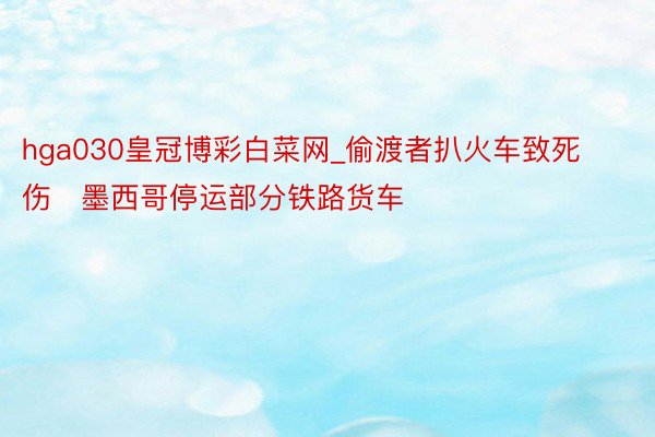 hga030皇冠博彩白菜网_偷渡者扒火车致死伤　墨西哥停运部分铁路货车